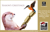 Christmas card for HMWT charity